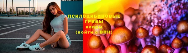 гашик Козловка