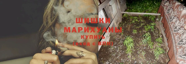 гашик Козловка