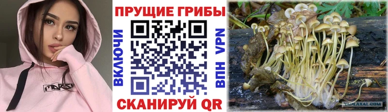 Галлюциногенные грибы MAGIC MUSHROOMS  Купить  Беслан 